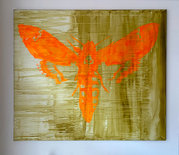 Schilderij Nachtvlinder